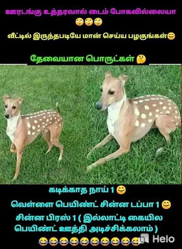 A meme tells how to change dogs as deers A meme tells how to change dogs as deers