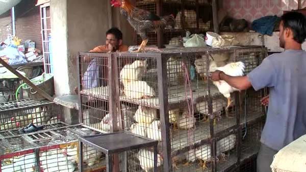 Coronavirus: TN Govt to Close Mutton Shops Coronavirus: TN Govt to Close Mutton Shops