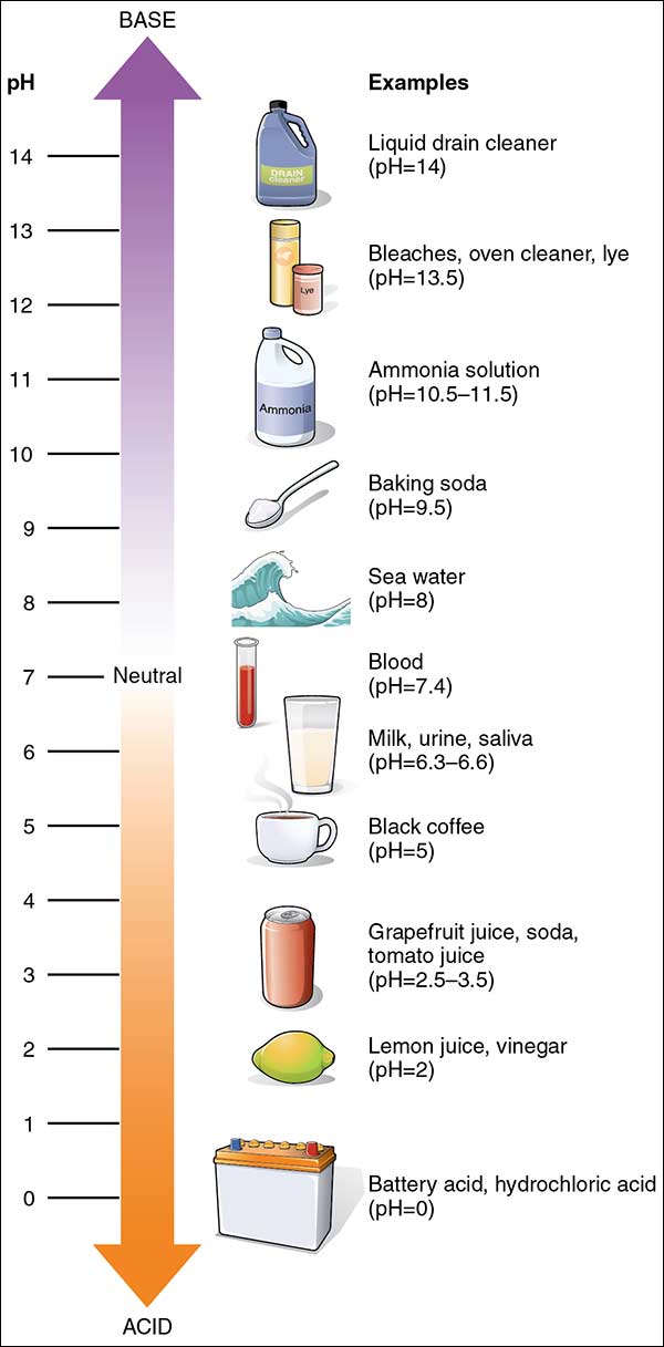pH scale pH scale