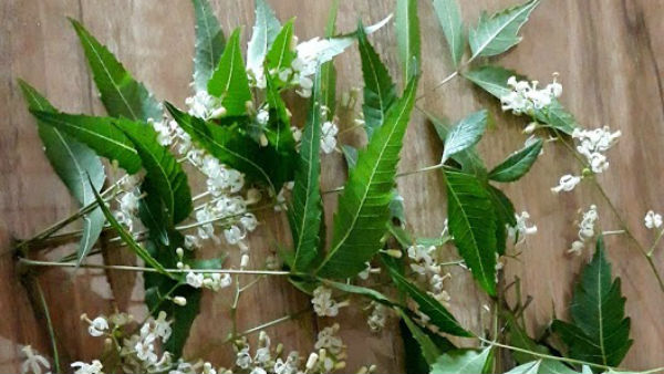 ஆயுள் வளர்க்கும் பஞ்சாங்கம்
