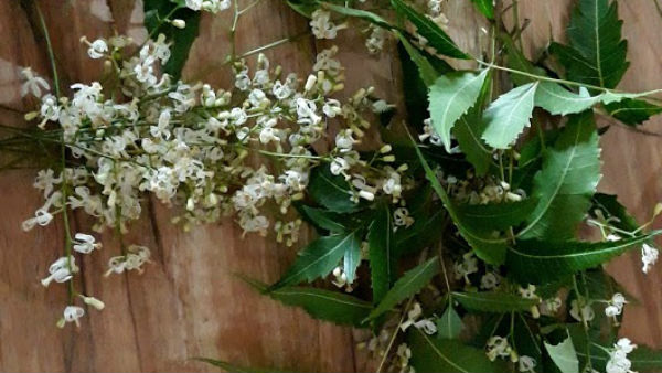 ஐந்து விசயங்களை கூறும் பஞ்சாங்கம்