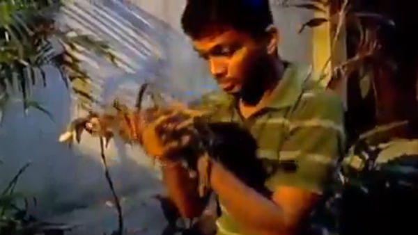 மல்லிப்பூ காரை நிறுத்தும் பெண்