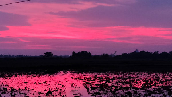 After Cyclone Amphan Passes, Bhubaneswar Sky Turned Pink And Purple After Cyclone Amphan Passes, Bhubaneswar Sky Turned Pink And Purple
