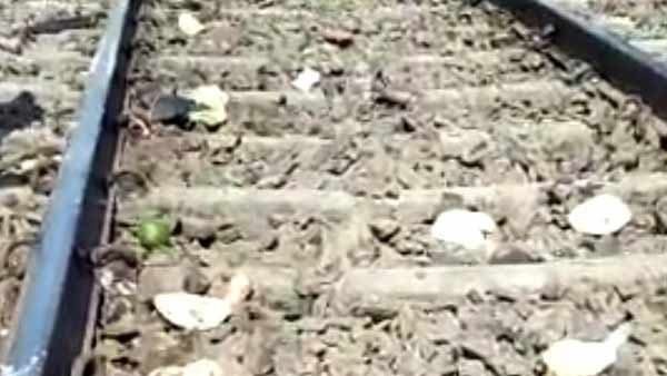 ஏறியது ரயில்