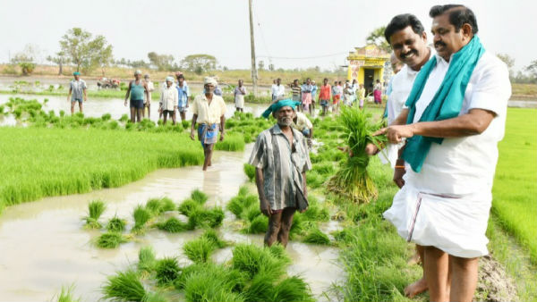 Mettur Dam will be opened on June 12 for kuruvai irrigation Mettur Dam will be opened on June 12 for kuruvai irrigation