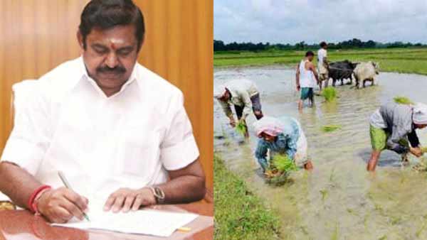 Tamilnadu CM Edappadi K. Palaniswami writes letter to the PM Narendra Modi Tamilnadu CM Edappadi K. Palaniswami writes letter to the PM Narendra Modi