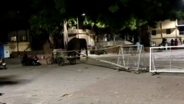 Thiruparankundram Subramanya Swamy Temple elephant killed a Pagan today Thiruparankundram Subramanya Swamy Temple elephant killed a Pagan today