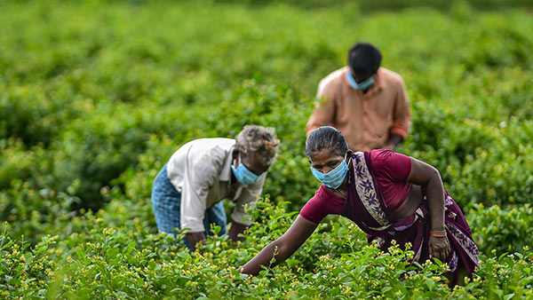 விவசாயிகளின் உரிமை