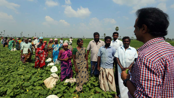 12 முதலமைச்சர்களுக்கு