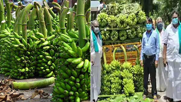 Farmers who gave bananas free to sanitary workers Farmers who gave bananas free to sanitary workers