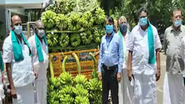 Farmers who gave bananas free to sanitary workers Farmers who gave bananas free to sanitary workers