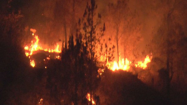 4 நாளா பற்றி எரியும் உத்தரகாண்ட் காடுகள்.. கடும் வெயிலால் தீ விடாமல் எரிகிறது! 