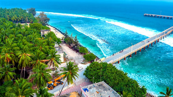 உடனடி சோதனைகள்