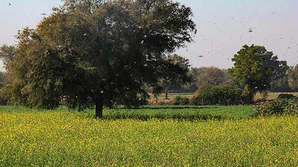 காற்று