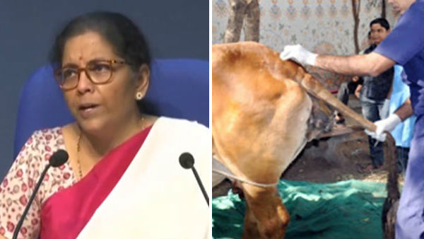 National Animal Disease Control Programme will be focused all over India says FM Nirmala National Animal Disease Control Programme will be focused all over India says FM Nirmala