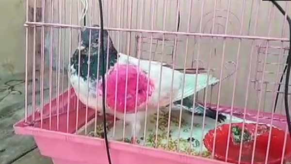 மன்னர் காலம்