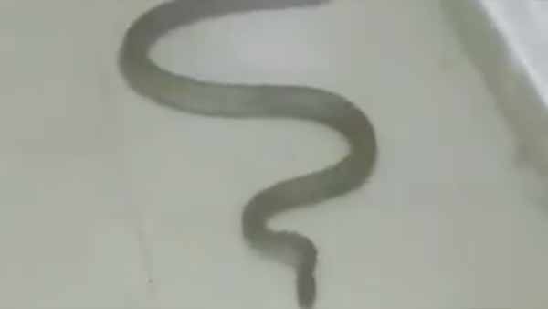 ஓட்டையில்
