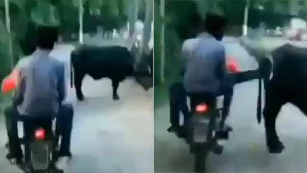 Viral video on two youths Viral video on two youths