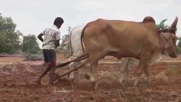 செய்முறை விளக்கங்கள்