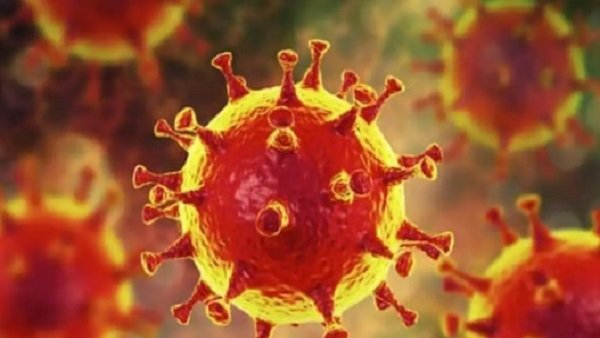 இந்தியாவில் எப்போது பரவியது