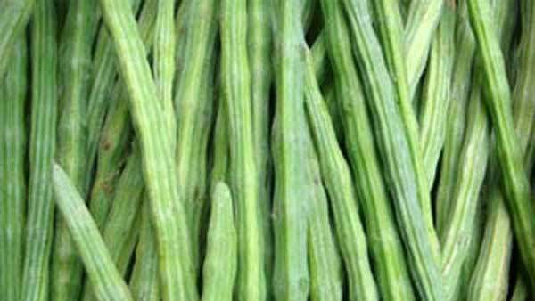 Minister M.R. Vijayabaskar says that separate company will be set up in Karur Minister M.R. Vijayabaskar says that separate company will be set up in Karur