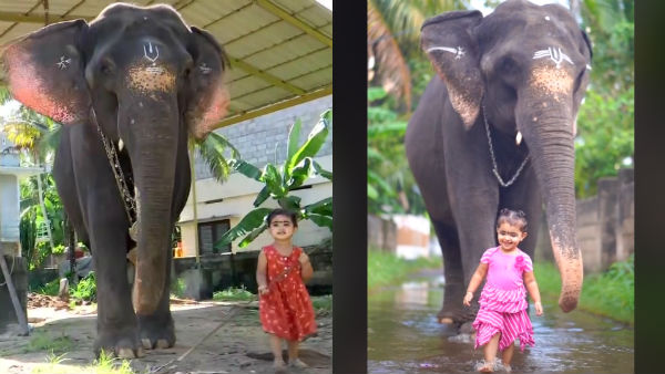 நாக்கைத் துருத்திக் கொண்டு பாமாவும், ஆடி அசைந்து உமாதேவியும்.. இரு 