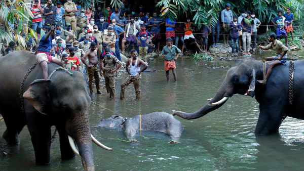 அமைதி காத்தது
