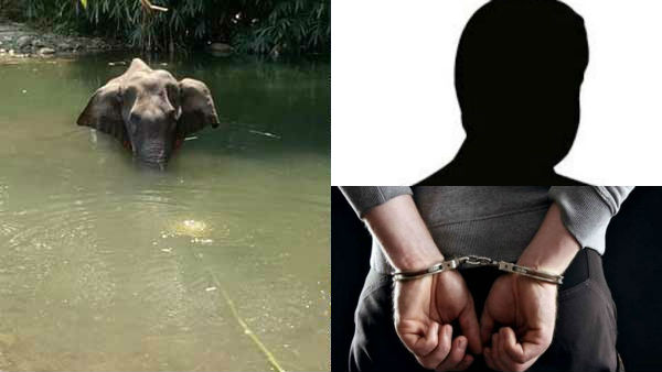 கேரளா யானை கொலை.. விசாரணையில் பெரும் திருப்பம்.. முதல் நபர் அதிரடி கைது.. பரபரப்பு பின்னணி! 