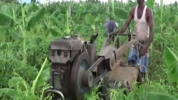 Sathiyamangalam farmers shift to Organic method Sathiyamangalam farmers shift to Organic method