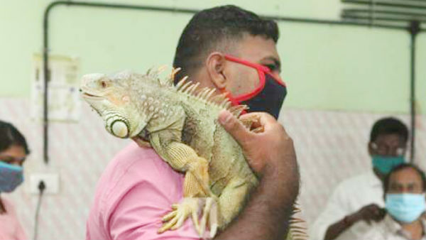மிக பிரபலம்