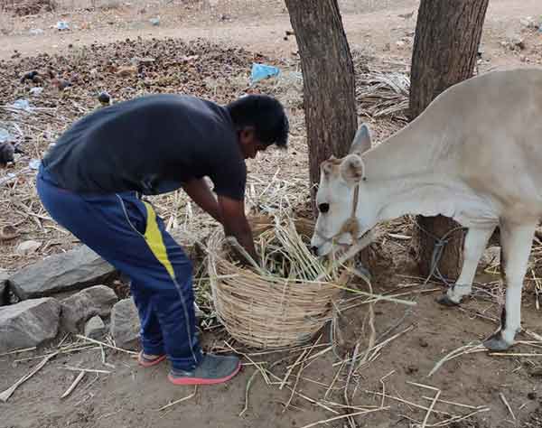 கல்விக் கட்டணம்