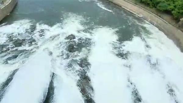 Mettur Dam to be opene for cultivation on today Mettur Dam to be opene for cultivation on today