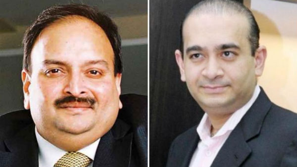 ED brings back Nirav Modi, Mehul Choksis Rs 1,350 cr of diamonds, pearls ED brings back Nirav Modi, Mehul Choksis Rs 1,350 cr of diamonds, pearls