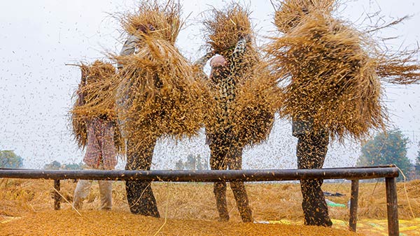 தண்ணீர் திறப்பு