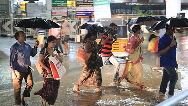 பரவலாக மழை பெய்யும்