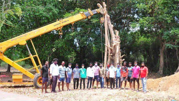 social activists trying to plant the old tree which was uprooted social activists trying to plant the old tree which was uprooted