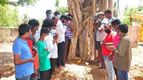 social activists trying to plant the old tree which was uprooted social activists trying to plant the old tree which was uprooted