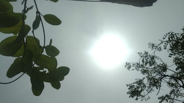 தாம்பாலத்தில் நிற்கும் உலக்கை