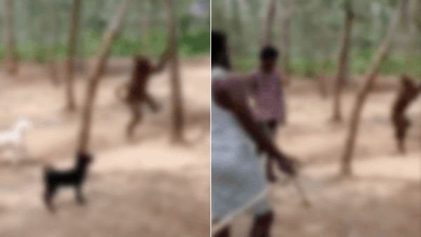 தண்ணீர்
