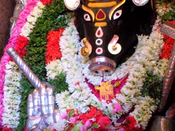 வெள்ளை மொச்சை