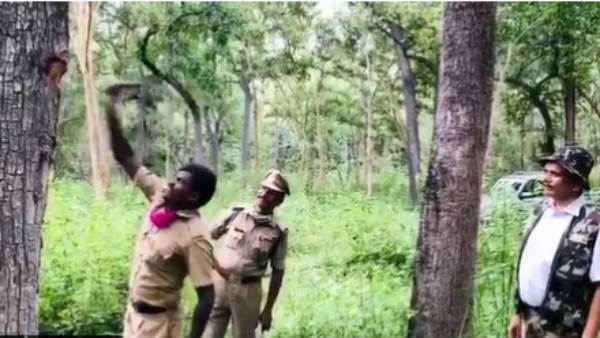 மரவெட்டி