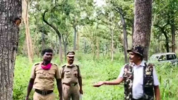 கரடுமுரடு