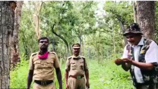 படைப்பு