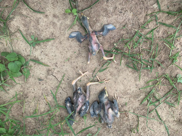 முன்னுதாரணம்