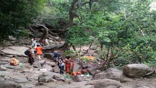 சித்தர்கள் வாழும் பூமி