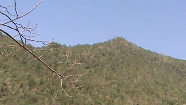 சிவ சிந்தனை அவசியம்