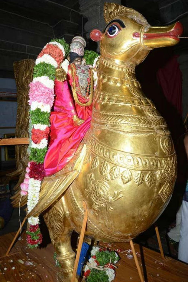 Srivilliputhur Aandal temple Garuda sevai festvial Srivilliputhur Aandal temple Garuda sevai festvial