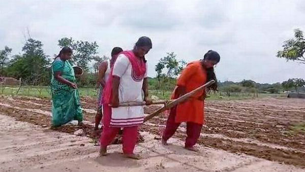 விவசாயம்