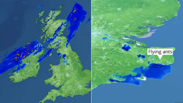 Giant flying ants spotted UK Space Giant flying ants spotted UK Space