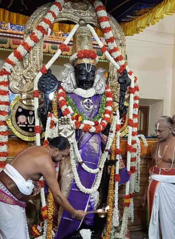 சுக்கிரன் அருள் நிறைந்த அத்திமரம்